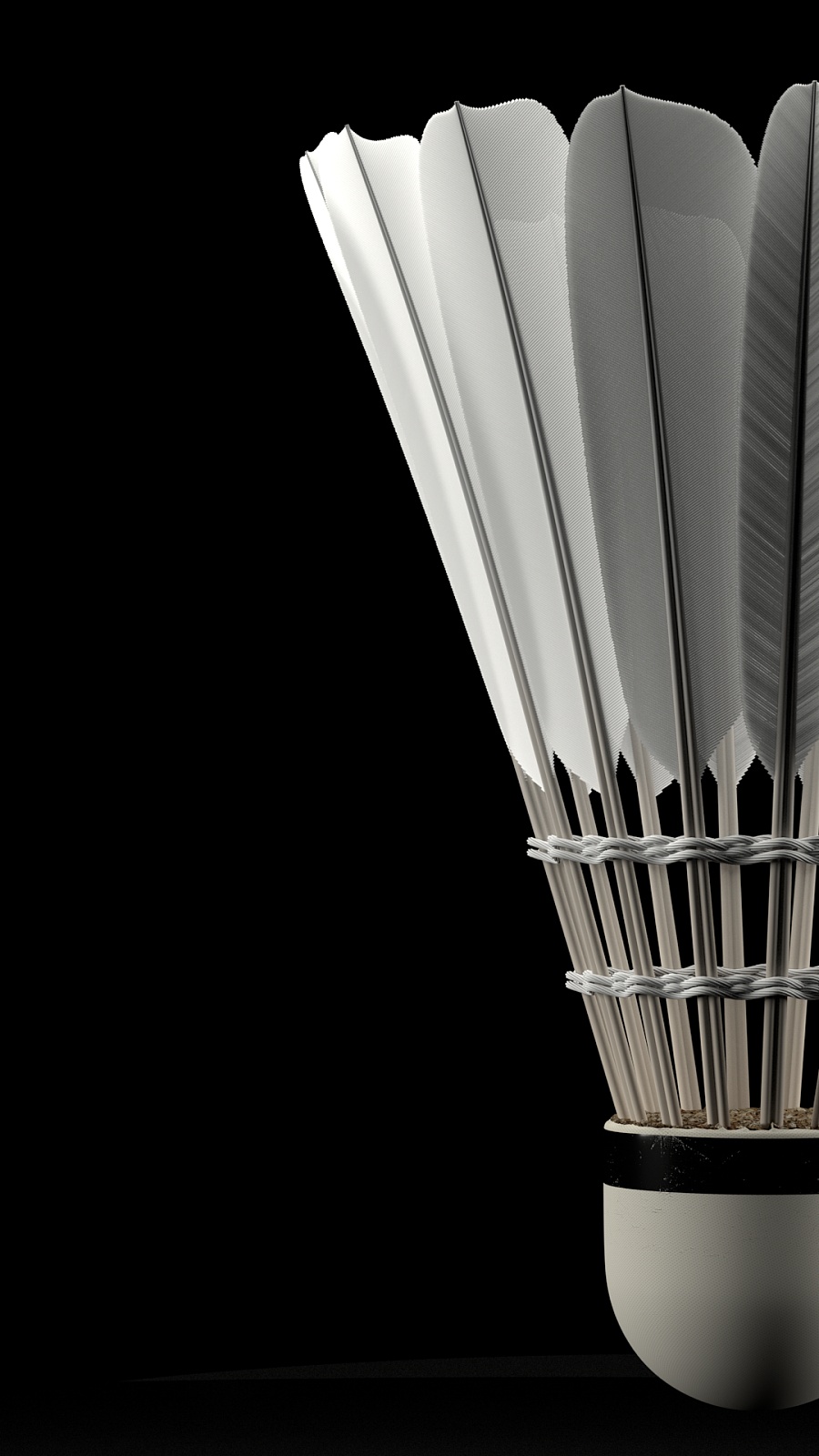 辅野先行权 辅野先行权